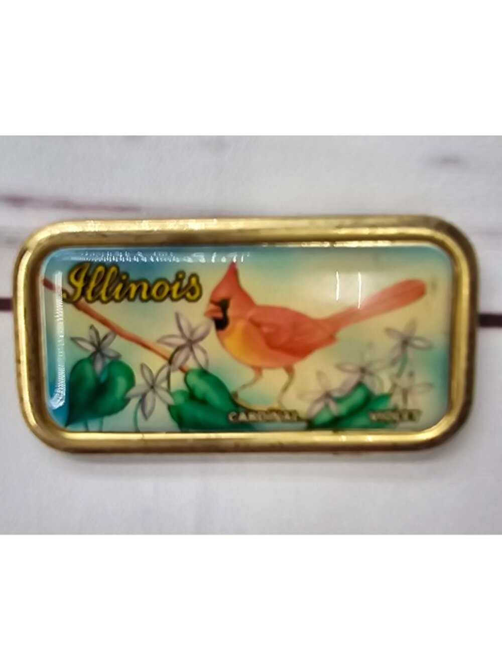 Vintage Illinois Cardinal & Violet Souvenir Magnet With Gold Border - State Flow